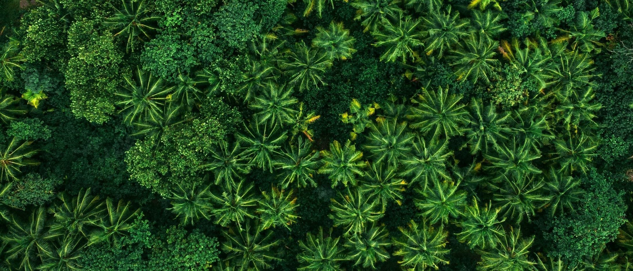 Zahnmedizinische Prophylaxeassistenz (ZFA/DH) - m/w/d