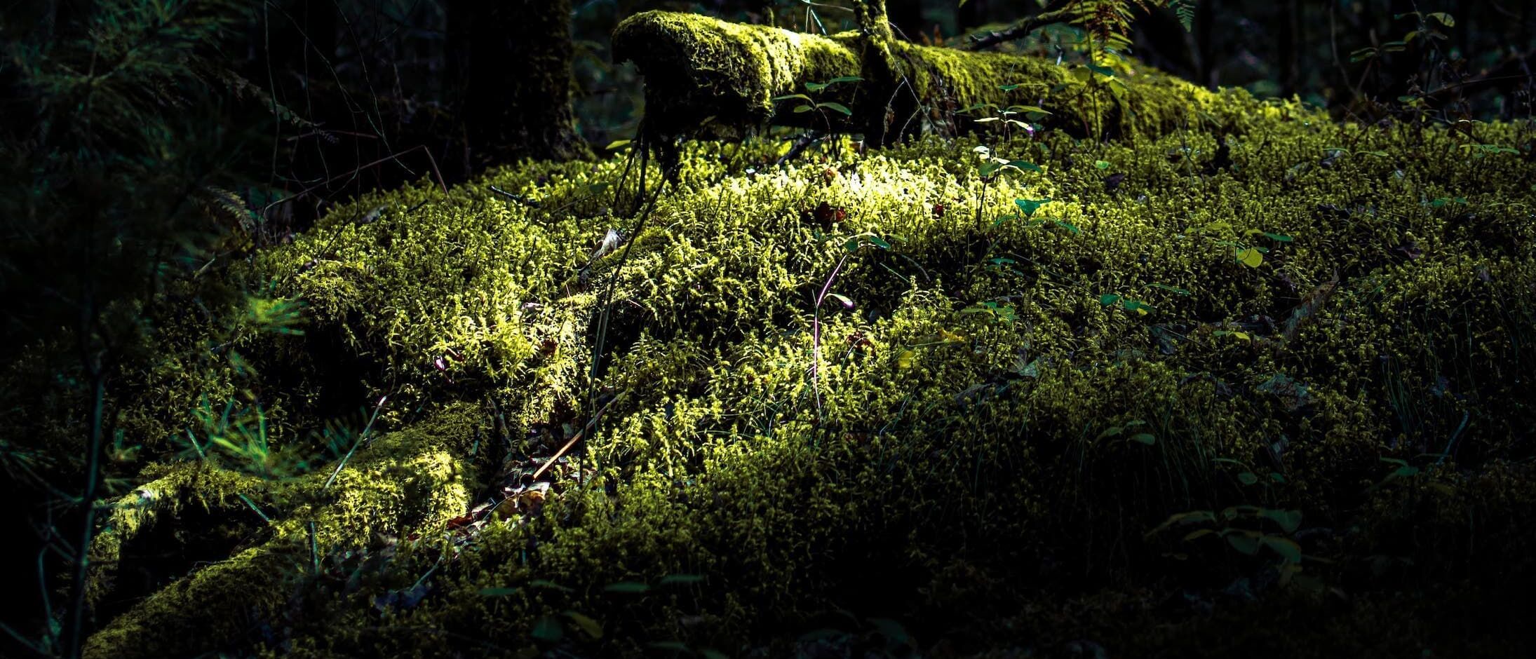 Praxis-Empfangsmanager:in (ZFA/ZMV) - m/w/d